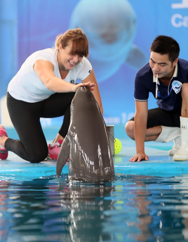 一段佳话 一段佳话