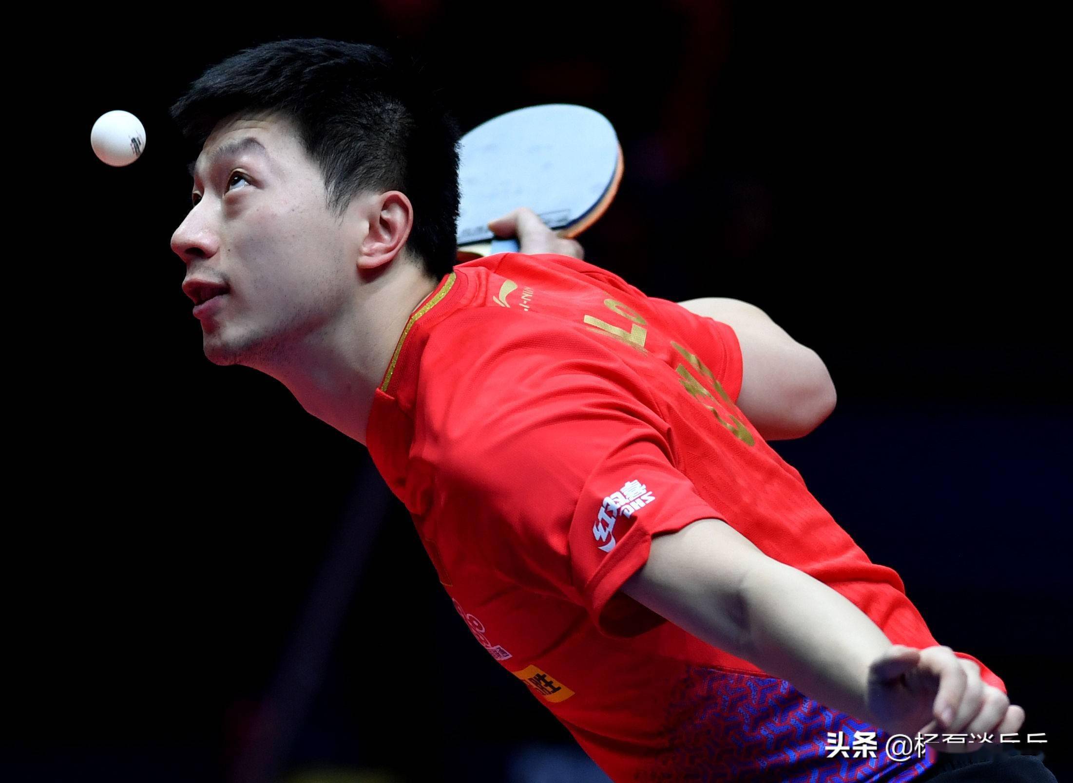 回到谢什科 回到谢什科